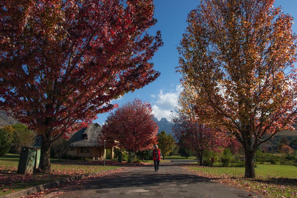 20 Mount Champagne Villa Champagne Valley Buitenkant foto